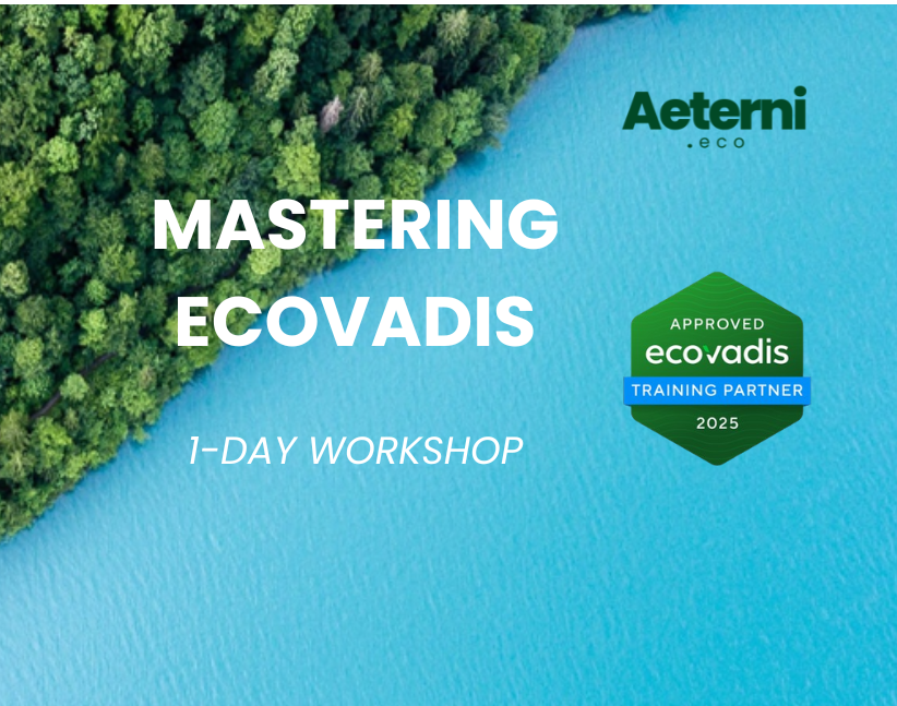 Mastering EcoVadis: A Blueprint for Continuing Sustainability Excellence