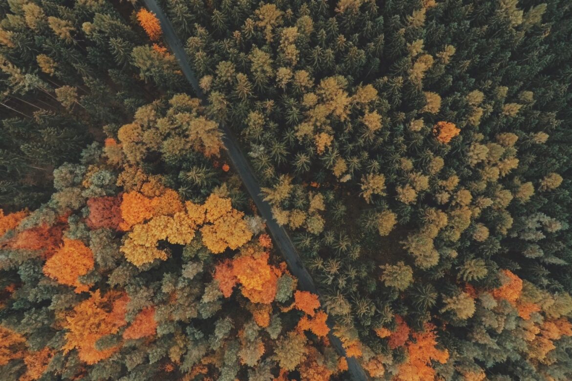 Understanding Climate and Sustainability Risks and Opportunities